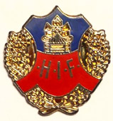 Значок Хильсенборг